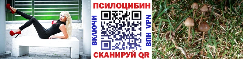 Псилоцибиновые грибы MAGIC MUSHROOMS  Обоянь 